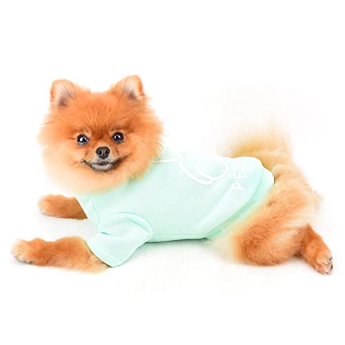 SMALLLEE_LUCKY_STORE Niedlicher Cartoon-Welpen-Fleece-Sweatshirt, Pullover für kleine, mittelgroße Hunde, Katzen, Jungen, Mädchen, Yorkie, Chihuahua, Kätzchen, warm, Herbst, Winterkleidung, Grün, S