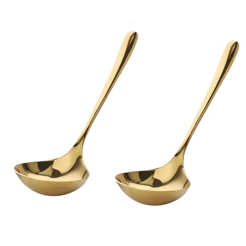 Soup Ladle, 2Pcs Cooking Spoon Pizza Sauce Ladle Kitchen Ladles Soup Serving Spoons Metal Ladle Stainless Steel Long Ladle for Home