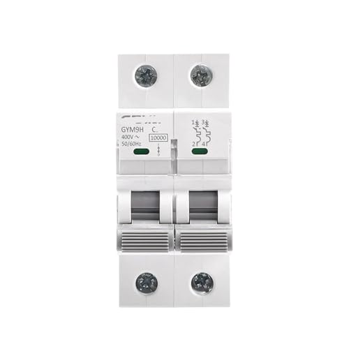Disjoncteur 10KA courbe C GYM9H 63A avec haute capacité de coupure bipolaire