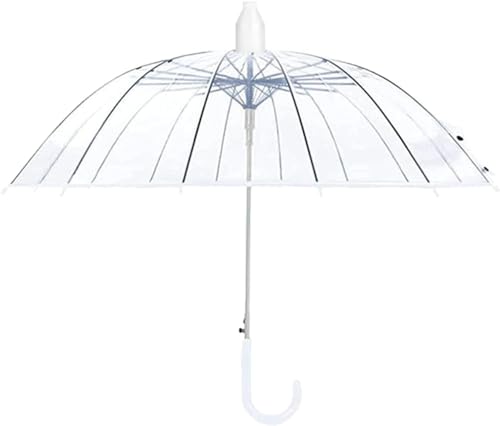 Fevuk Jo[t P P P WvP rj[ 16{ JP 傫TCY OXt@Co[  ~J΍ v ϕ  y ^b` jp XebLP amP ʋ ʊw St AEghA (zCg)