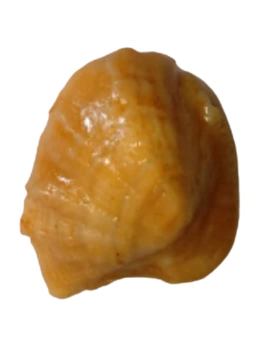 Natural 20.00 Carat Mach Mani Lab Certified Stone (Mach Mani Stone), Successful, Protect Enemies, Business Growth (B0BWFRHTC9) Amazon Price History, Amazon Price Tracker