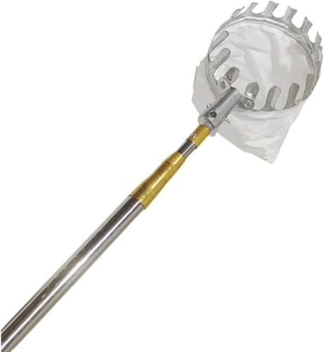 Riazdiw ʕ ԉʕ ʕn }Lkʎpt[csbJ[ }p|[ t[csbJ[ ʕLb`[ ʎpi蓮ʕE݋@ Lkbh E݋@ yʎnp|HʕE݉ʎ̎ (2.5M)