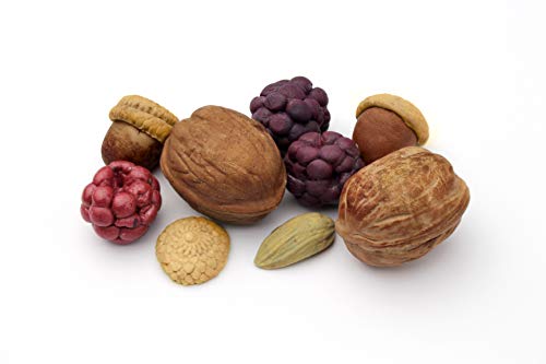 Flower Pro Nuts & Berries Silicone Mould for Cake Decorating & Craft by Katy ...