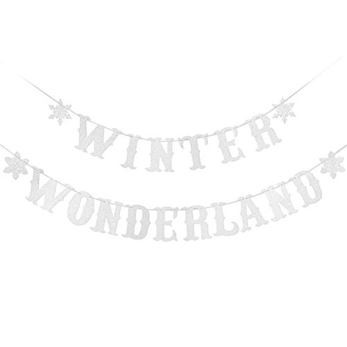 Winter Wonderland Decorations- Winter Wonderland Banner Silver Glitter- Christmas Party Decorations, Winter Decor, Winter Baby Shower Decorations, Winter Birthday Decorations, Snowflake Decorations