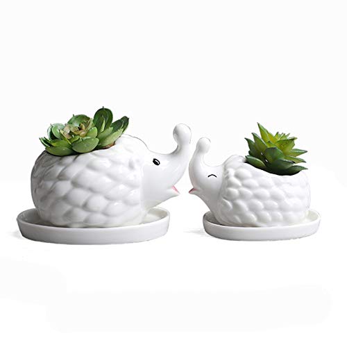 Mokylor Sukkulenten-Pflanzgefäß, Igel, weiße Keramik, Sukkulenten-Übertopf, kreative Pflanzen, Blumentöpfe, niedliche Igel-Vase, Pflanzenbehälter für Kaktus-Luftpflanzen Cover