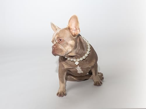 Pooch Mode Dog Pearl Necklace with Charm (Large)