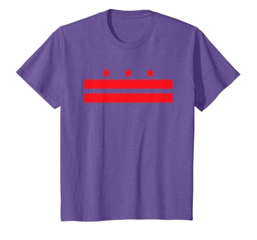 Washington DC Flag T-Shirt T-Shirt, Youth, Purple Heather, 2T