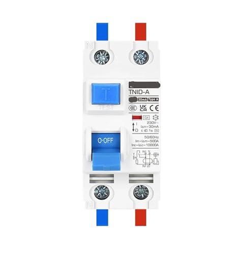 Disjoncteur Type A 2P 40A avec protection contre fuites de courant pour borne et pile