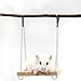 Imagen de Columpio para hámster,Hamster Columpio