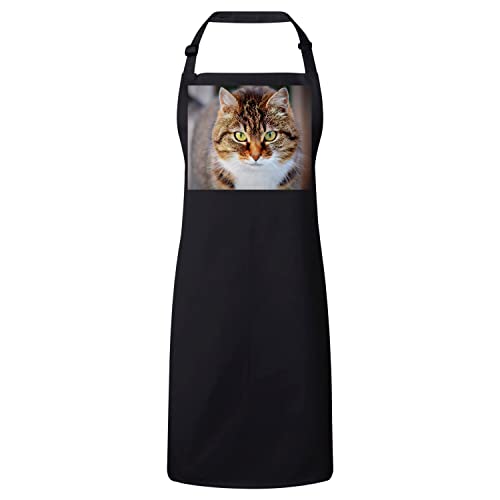 Tablier cuisine chat tigre poil long gros plan yeux verts pour cuisinier passionné