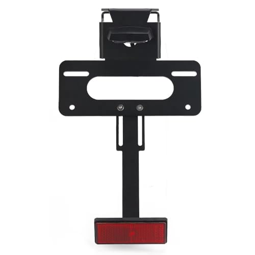 Support Plaque Z900 sans LED pour Remplacer Garde-Boue Encombrant