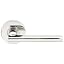 Polished Stainless Steel
