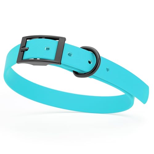 Image of Dogline Biothane Waterproof Dog Collar Strong Coated Nylon Webbing with Black Hardware Odor- Proof for Easy Care Easy to Clean High Performance Fits Small Medium or Large Dogs, Sky Blue