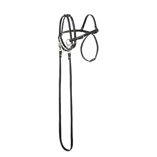 Brida para Hobby Horse SKIPPI en color negro, ideal para competiciones y entrenamientos A3 4
