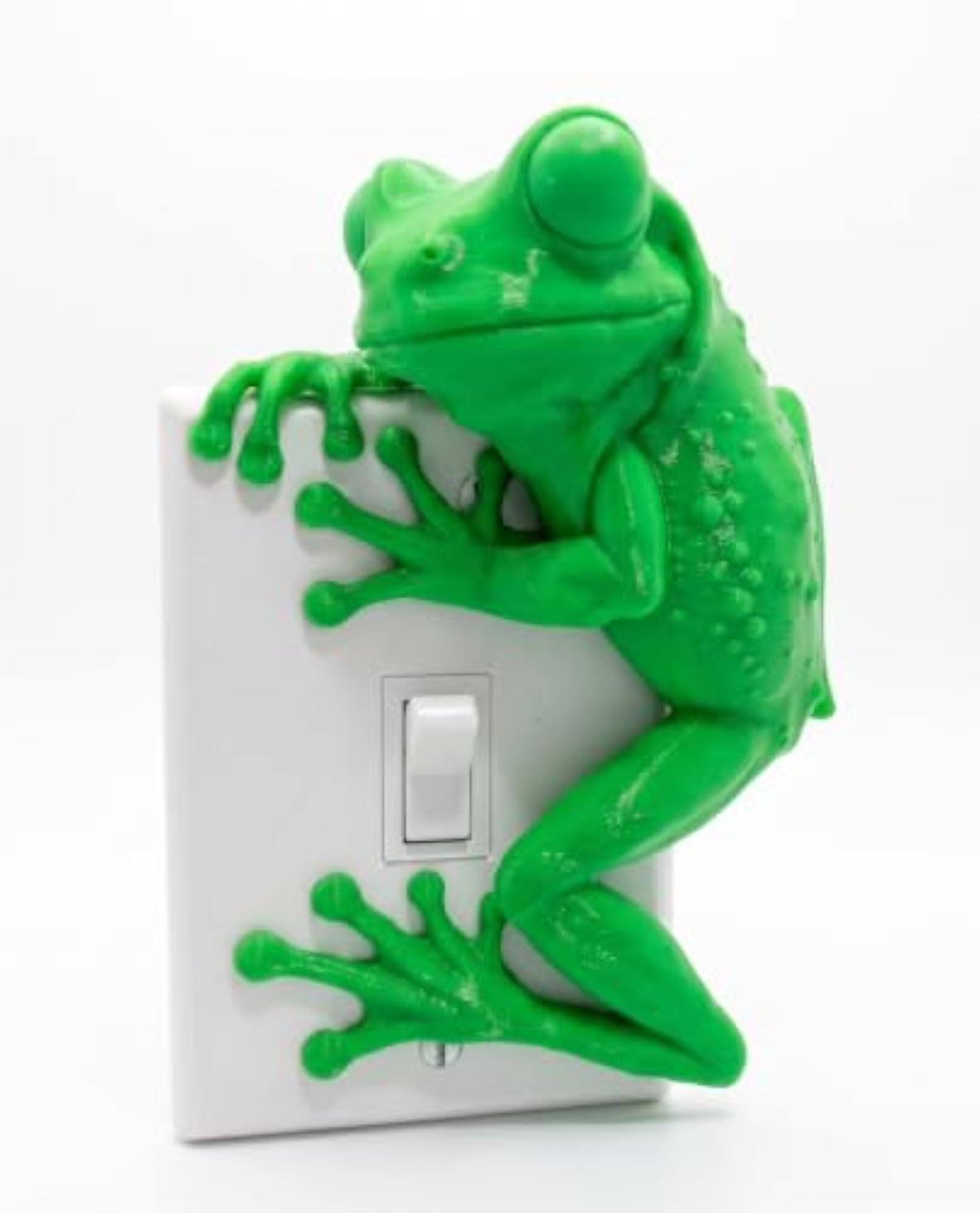 Clinging Tree Frog Switch Plate