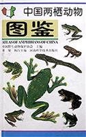 Atlas of Amphibians of China 7534918359 Book Cover