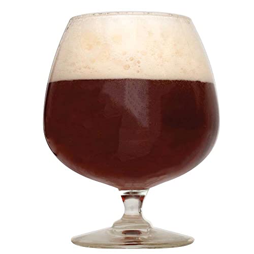 Top 10 Best Northern Brewer 1 Gallon Reviews & Buying Guide Katynel