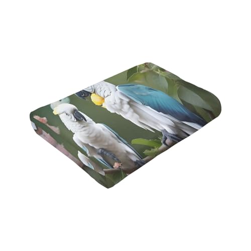 Couverture douce cacatoès pour lit, canapé et voyage - 8