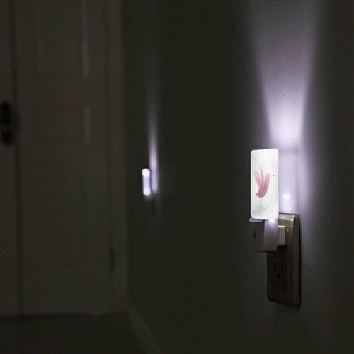 Image of LED Night Light,Shiny Lavender Striped Hummingbird LED Night Light Plug into Wall with Dusk to Dawn Light Sensor White Energy Efficient Nightlight for Bedroom Bathroom Hallway Living Room Kitchen