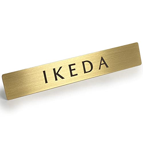 Black Box Buzz 真鍮 表札 ドア サイン プレート 「 IKEDA 」池田 12cm x 2cm