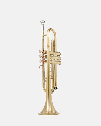 QUEENBRASS Standard Trumpet in Bb Pitch – Full Brass Finish