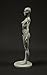 3dtotal Female Anatomy Figure: 10.5-inch Anatomical Reference for Artists (Grey)