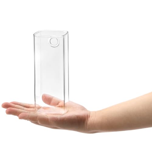 Fasmov 6 Stück Wandbehang Glas Pflanzgefäße Terrarienhalter für Luftpflanzen, Sukkulenten, Blumen – Quadratische… – Ansicht 4