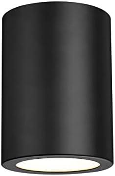 Z-Lite 1 Light Flush Mount 2302F1-MB