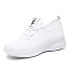 White-01