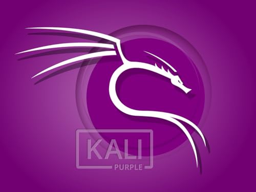 Kali Linux 2025.3 Bootable USB (Kali Purple)