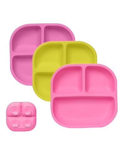 BABELIO Powerful Suction Divided Plate