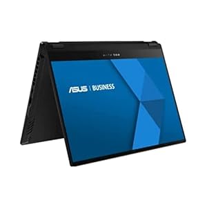 ASUS ROG/PV301QH/13.4W/R7-5800H/16G/512/W10P