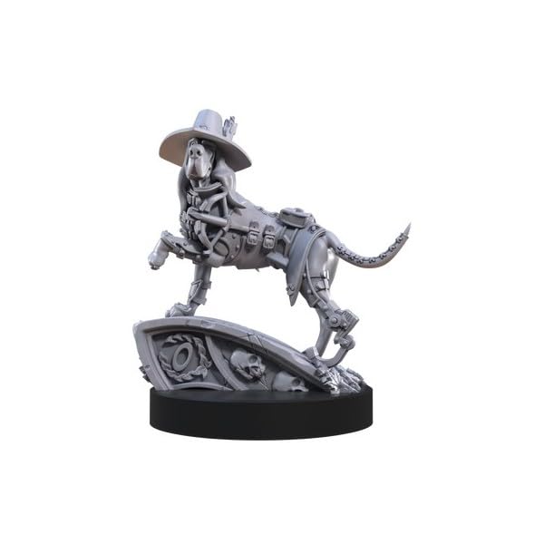 Animal Adventures Dogs of the Faraway Sea