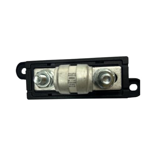 Fusible grillé avec siège de rechange porte-fusible pour réparation électricité voiture