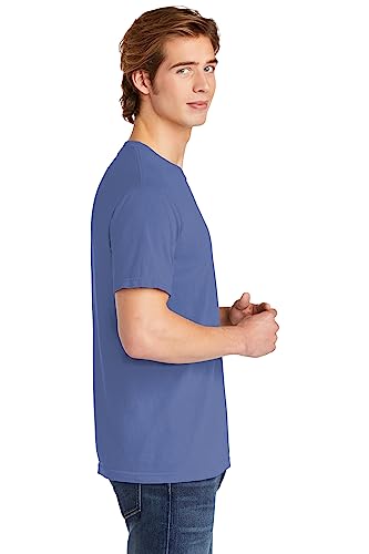 Image of Comfort Colors Adult Short Sleeve Tee, Style G1717