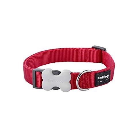Red Dingo Bucklebone Dog Collar Plain, Red, Medium 20mm Cover