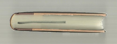 The Kingdom of Shivas Irons 0767900189 Book Cover