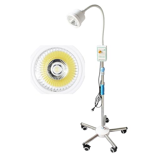 Lampe d'examen médical à LED 20W avec pied à hauteur réglable