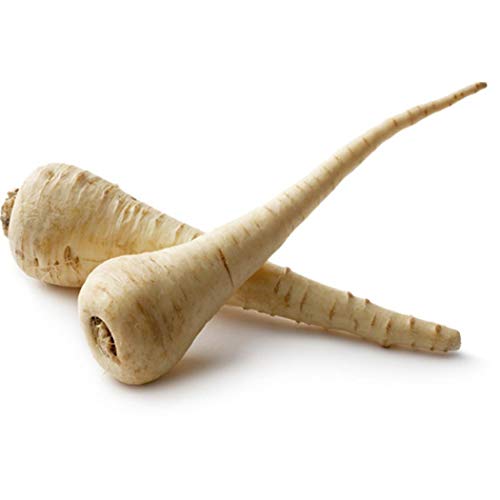 Bravet Vegetable Seeds - 100Pcs Parsnip Seeds Organic Non-GMO Heirloom Parsnip Vegetable Seeds for Home Garden Balcony - Thumbnail 5