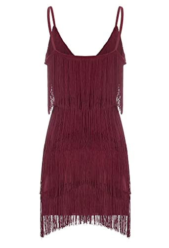 Image of Women 1920s Gatsby Flapper Dress Sexy Open Back Strap Fringed Cocktail Party Dress with 20s Accessories