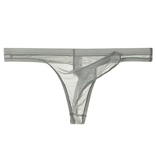 Men's Mesh Ultra-Thin Elephant Nose Pouch Thong Underwear Transparent Male Panties2