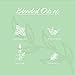 NOW Essential Oils, Clear the Air Oil Blend, Purifying Aromatherapy Scent, Blend of Pure Essential Oils, Steam Distilled, Vegan, Child Resistant Cap, 4-Ounce
