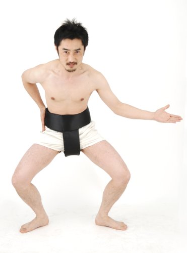 白鵬 Vs 朝青龍 The Real Sumo Fighting 8 ニコニコ動画