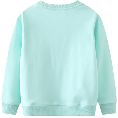 Image of Hongshilian Unisex Kids Cute Cartoon Cotton Sweater Shirt