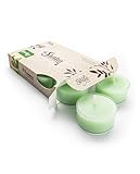 Christmas Tree Green Tea Light Candles 6 Pack - Highly Scented, Hand Poured, & Clean Burning - Clear Container for Beautiful Candlelight - Christmas Tealights Collection