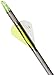 Gold Tip Hunter XT Arrows with Raptor Vane (Pack of 6), Black, 300