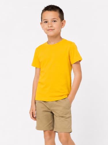 Image of LittleSpring Boys Girls T Shirt Rainbow Striped Cotton Crewneck Tees for Kids Fashion