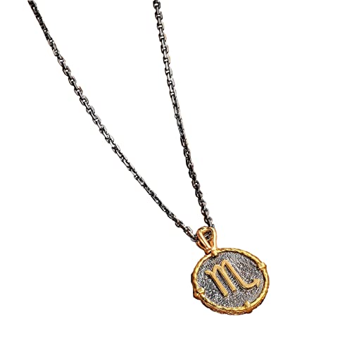 Mens Stainless Steel Sign Pendant Necklace Horoscope Constellation Astrology