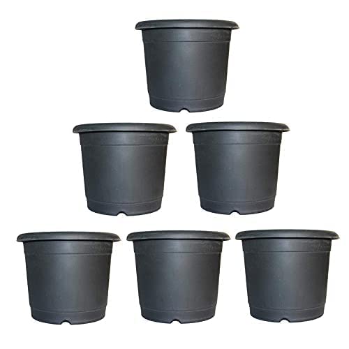 Image of Synergy Plast Plastic Round Shape Flower Pots 6 Pcs, 12 Inch Heavy Duty Plant Containers /Planter /Gamla /Plant Pot for Gardening, Balcony, Terrace, Home Decor Indoor & Outdoor Planting (Black)