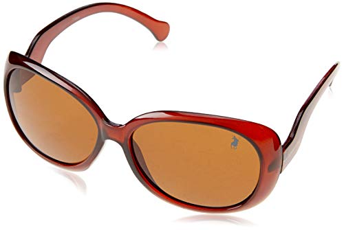 Polo London Club, London Club 75003, Óculos de sol, Feminino, marrom, Único